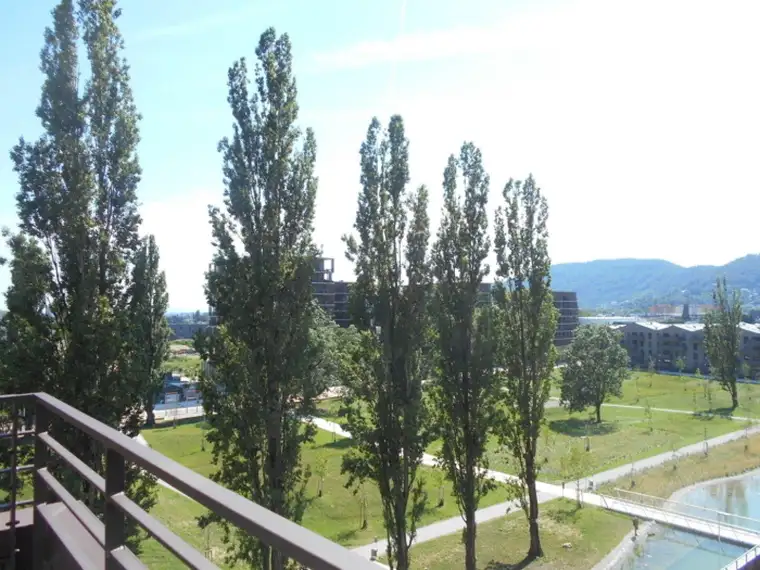 Q5 am PARK großartige, sonnige 2ZI (MÖBLIERT) mit West/Balkon