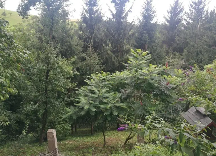 Vierkanthof mit Nebengebäude, 1400m² - viele Nutzungsmöglichkeiten