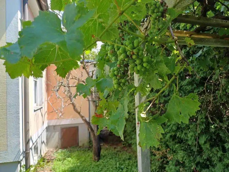 Landhaus Charme 7 ZI, Balkon- herrliche Aussichtslage zum Hochwechsel, 3 Garagen