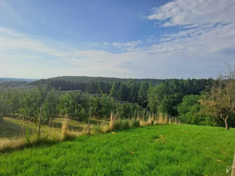 Naturnah Wohnen mit Weitblick in der Thermenregion Bad Waltersdorf 6766m² - Bauland, Wiese &amp; Wald