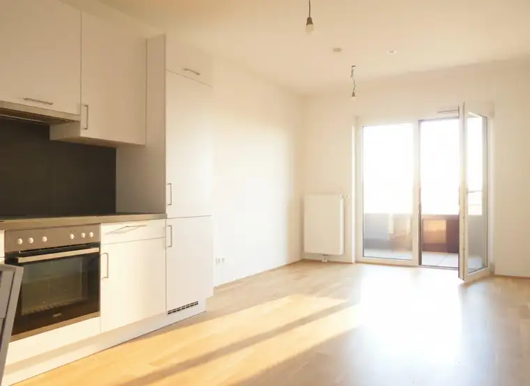 Q5 am PARK großartiger Ausblick 16./letztes OG 2ZI mit 12m² Ost/ Balkon