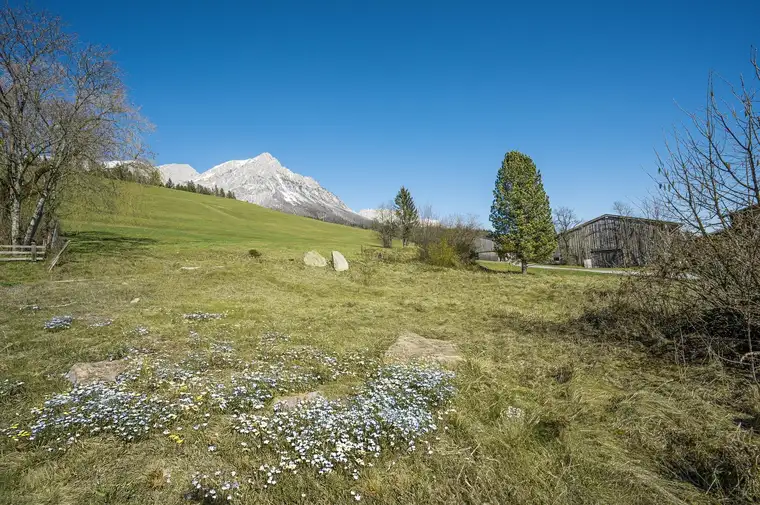 Sonnenverwöhntes Grundstück am Fuße des Wilden Kaisers