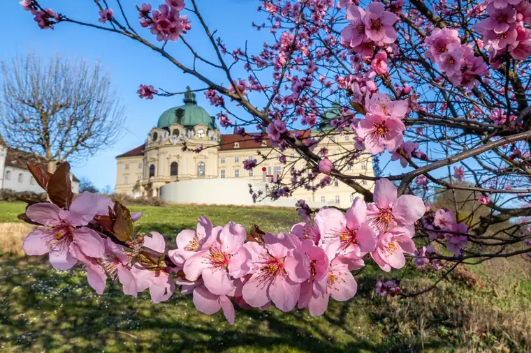 Traumhaftes Baugrundstück in Klosterneuburg - Ihr zukünftiges Eigenheim wartet auf Sie!