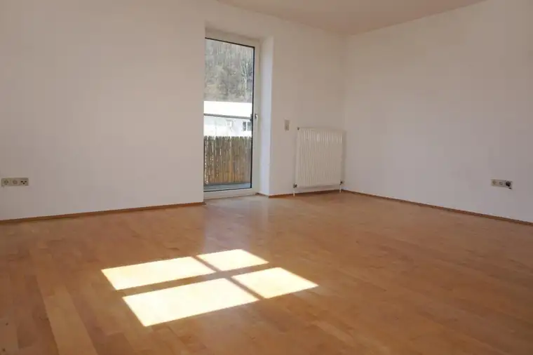 Helle Wohnung mit Balkon direkt an der Krems!