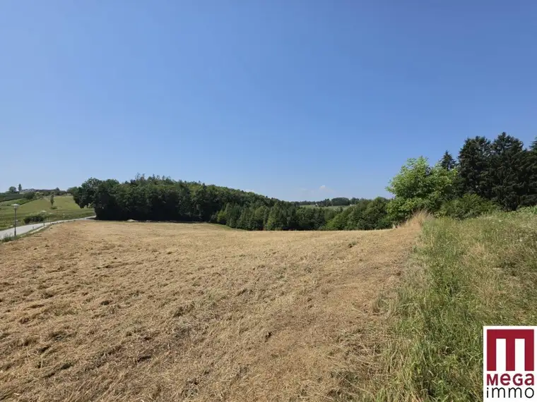 Sonniges Baugrundstück in naturnaher Lage – Ihr Platz für das Eigenheim