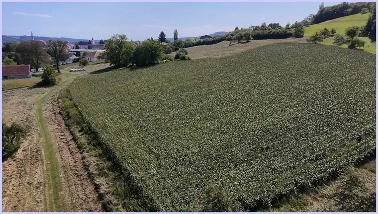 Erhöht gelegenes wunderschönes Baugrundstück in Feldbach. Gute Anbindung, 3000m2