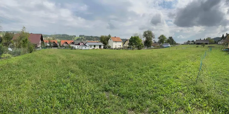 3200m2 Bauland, als Anlage oder Wohnbau, auch geförderter Wohnbau. 0,2-0,6 Dichte