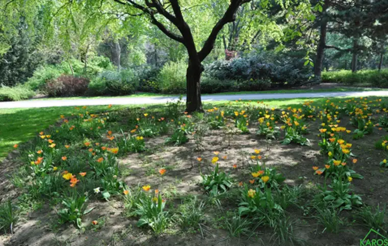 2-ZIMMER-WOHNUNG *MIT PARKBLICK*