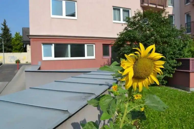 Kleinbüro mit Schaufenster!