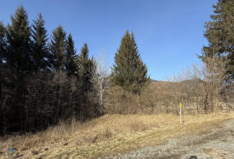 NEU! BAUGRUNDSTÜCK AM ENDE EINER SACKGASSE IN STEINHAUS AM SEMMERING!
