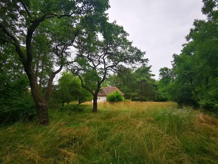 Naturparadies