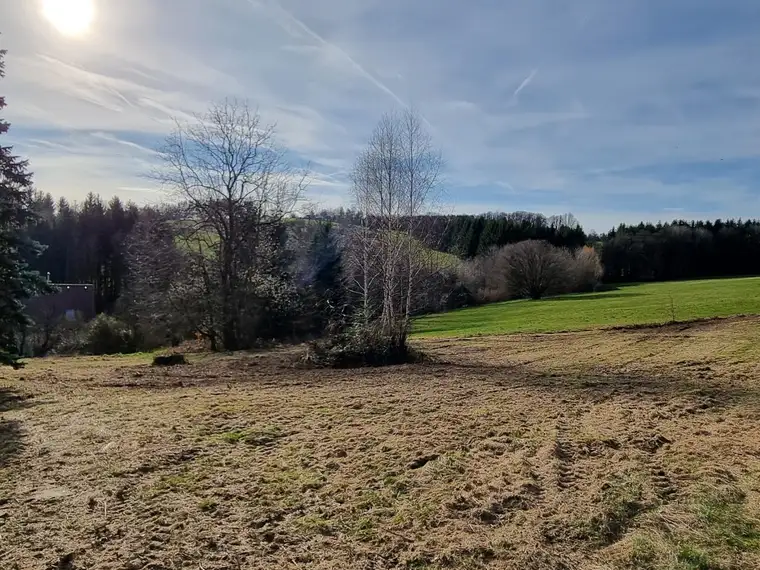 SONNIG UND RUHIG GELEGENER BAUGRUND