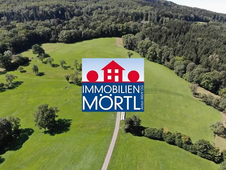10 ha Grünland und Forstwirtschaftsflächen in Feichsen