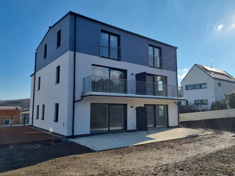 Robert E. Meier, Immobilien Mörtl GesmbH