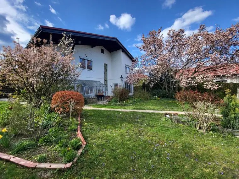 Harald Gaberscik, Immobilien Mörtl GesmbH