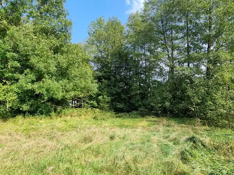 "Neuer Preis!!" BAUGRUND IN SONNIGER, RUHIGER LAGE