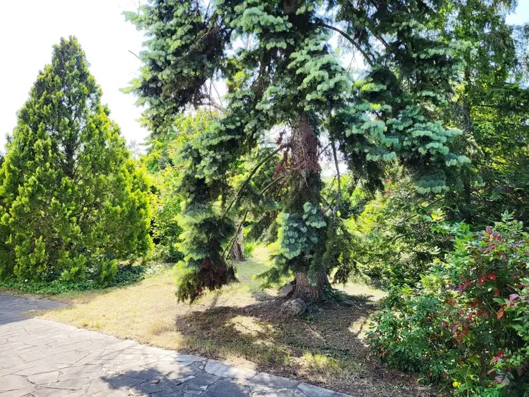 ALTES HAUS AUF SCHÖNEN BAUGRUND IN WIEN INZERSDORF