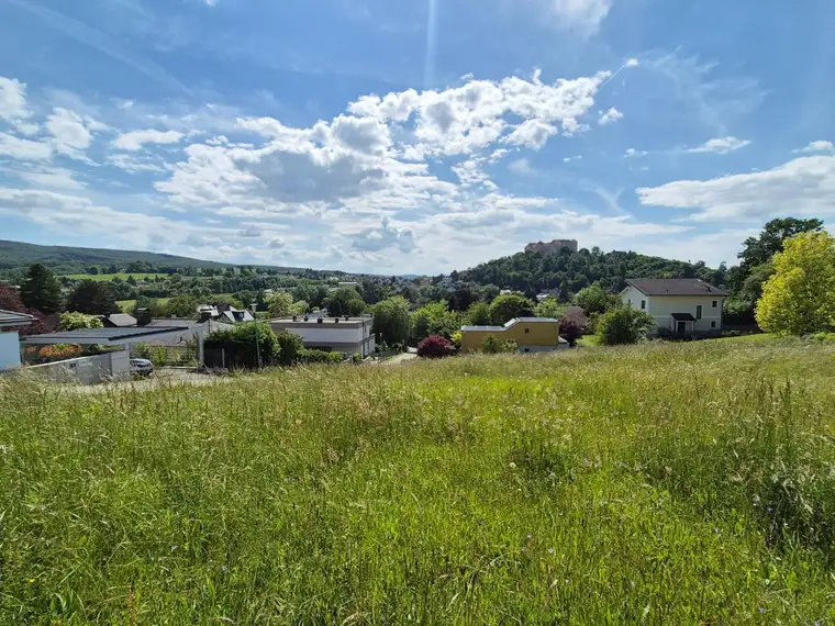 TRAUMGRÜNDE MIT UNVERBAUBAREM BURGBLICK IN ZENTRUMSNÄHE