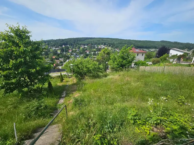 SCHÖNE AUSSICHTSLAGE MIT ALTBESTAND