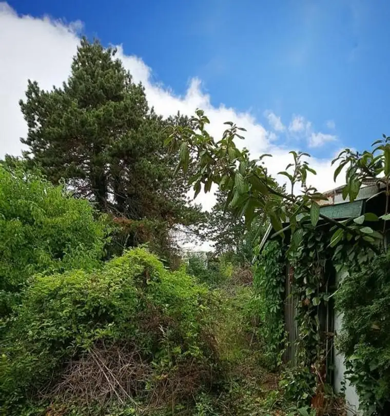 Tolles Baugrundstück mit Gartenhaus