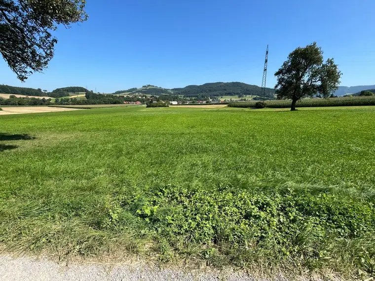 Landwirtschaftliche Fläche