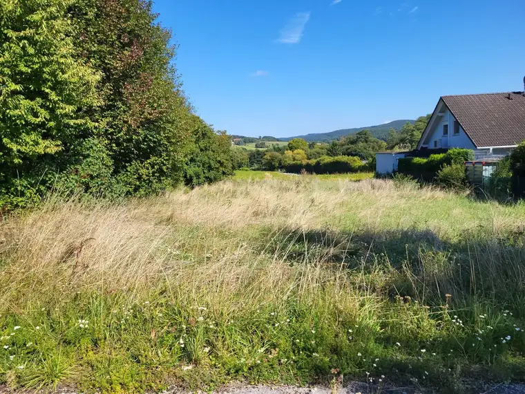 AUSSICHT IN DEN WIENERWALD