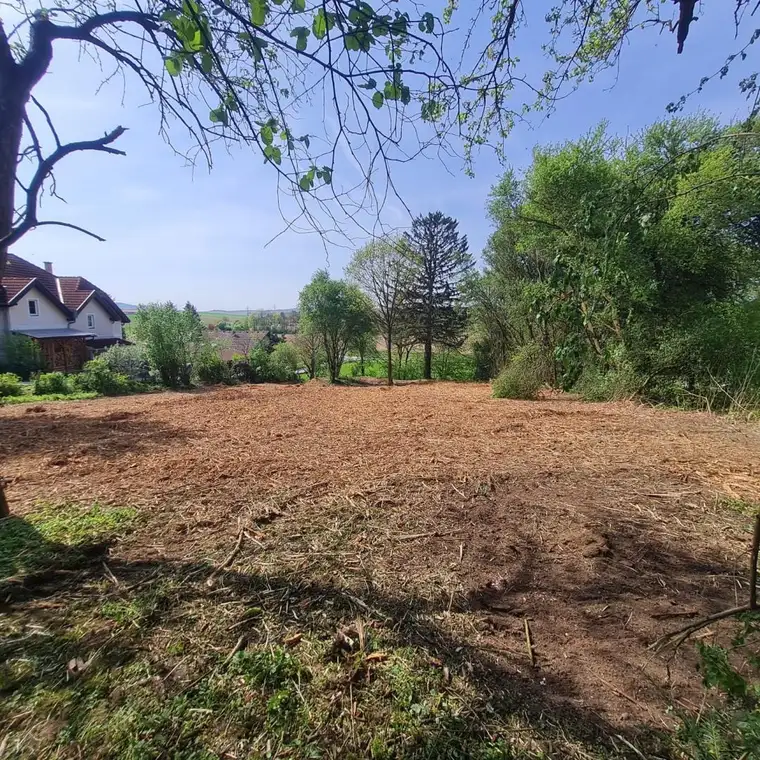 GROSSER AUFGESCHLOSSENER BAUGRUND BEI NEULENGBACH