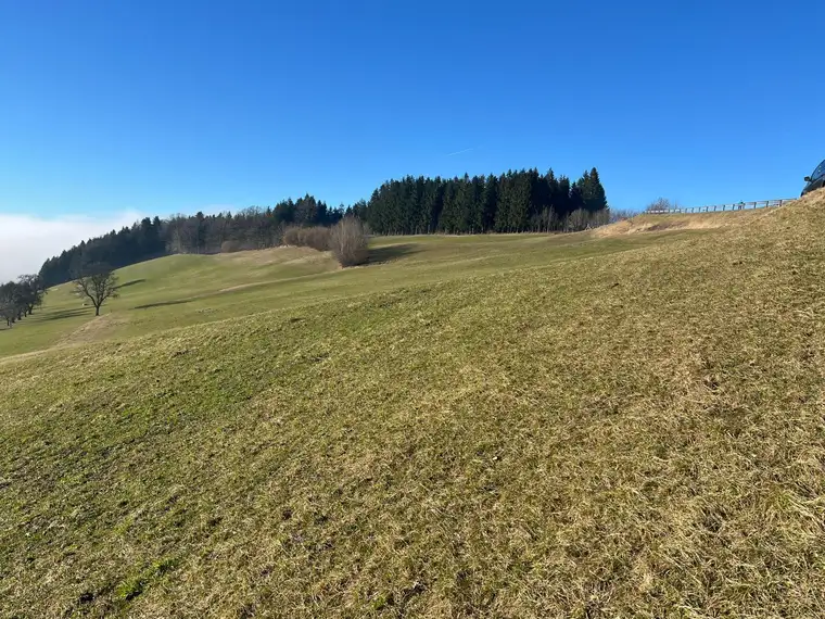 Landwirtschaftliche Fläche