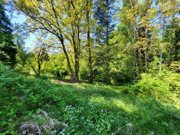 GABLITZ - AUFGESCHLOSSENER BAUGRUND IN RUHIGER WALDRANDLAGE