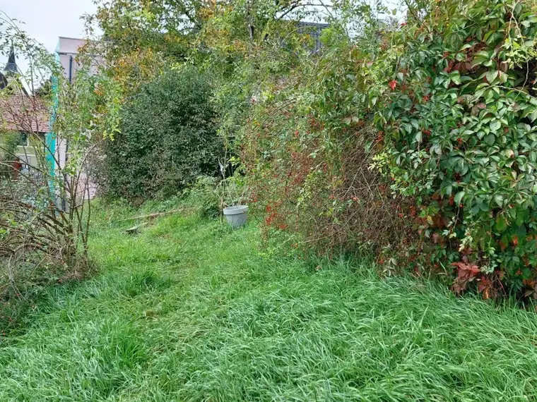Genug Platz für Ihr Traumhaus!