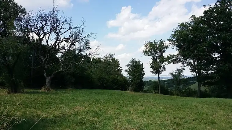 Grünland Tullnerfeld Aussichtslage