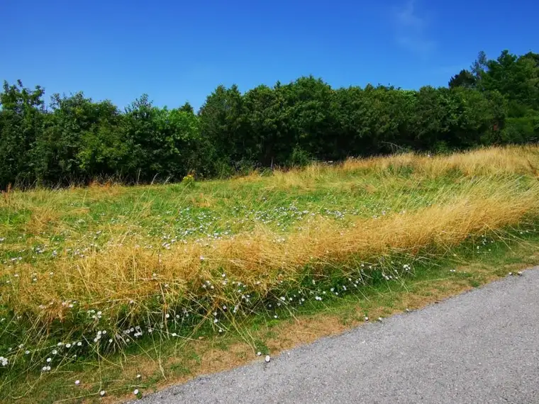 Eckgrundstück in Ortsrandlage 1.216 m²