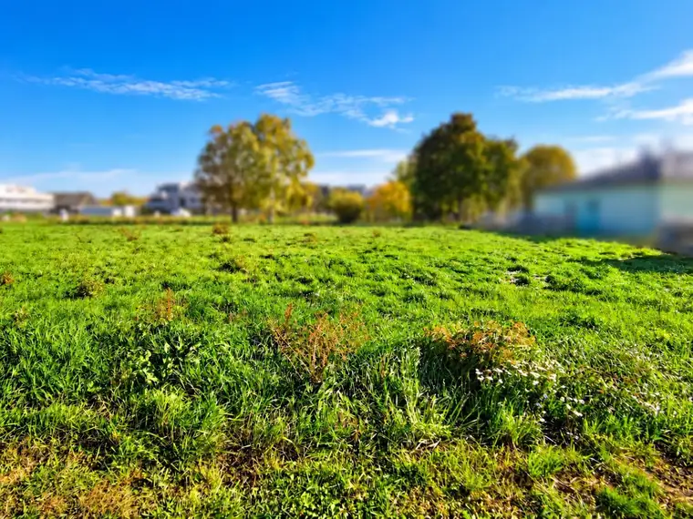 Mag. Claudia Winglhofer, Immobilien Mörtl GesmbH
