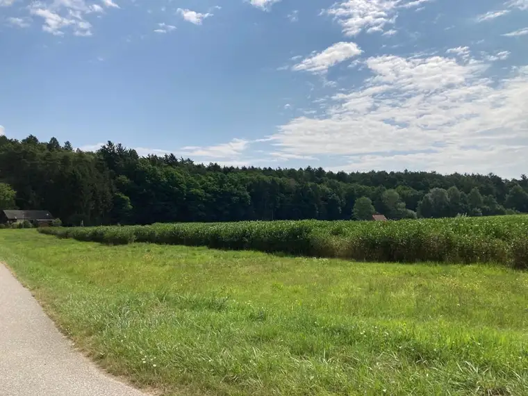 Natur, Ruhe &amp; Lebensqualität – Das Baugrundstück in Bad Blumau wartet auf Sie!