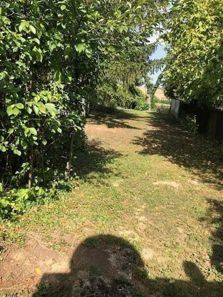 Einer der letzten Ruheoasen in Hollabrunn (Schnäppchen)