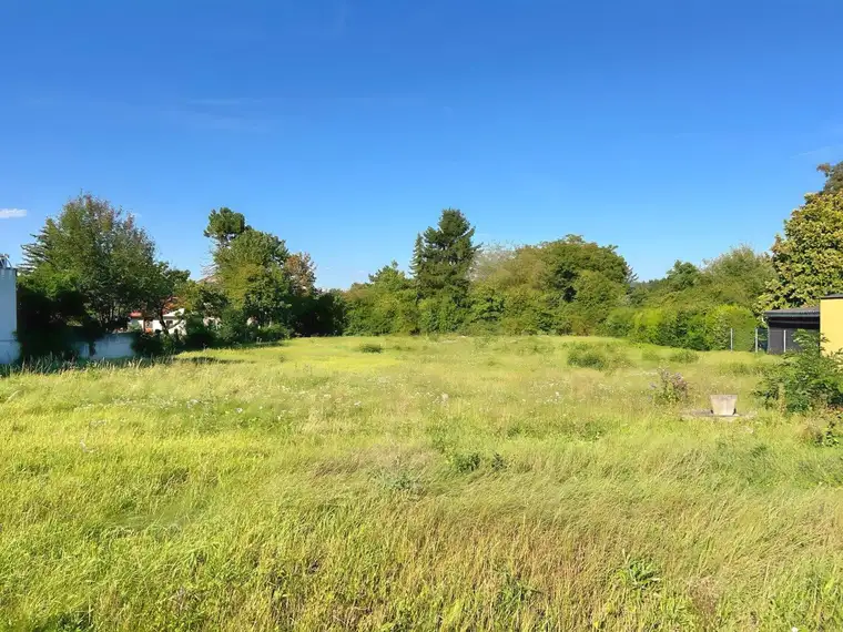 Sonniges Baugrundstück in Wolfpassing: 2.102m² für 989.000 € – Ihr Platz zum Leben! AUCH FÜR BAUTRÄGER INTERESSANT!