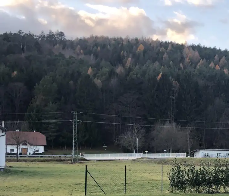 Im schönen Burgenland - Nähe Neutal !