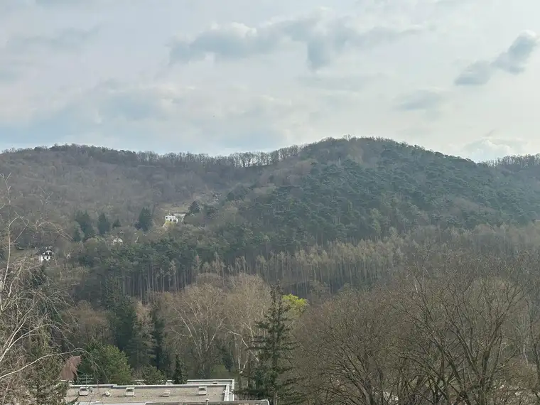 Klosterneuburg - Ein Ausblick wie vom Adlerhorst ..