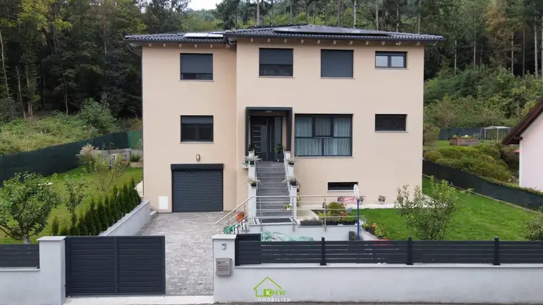 Waldrandlage: modernes, großzügiges Traumhaus in Ruhelage