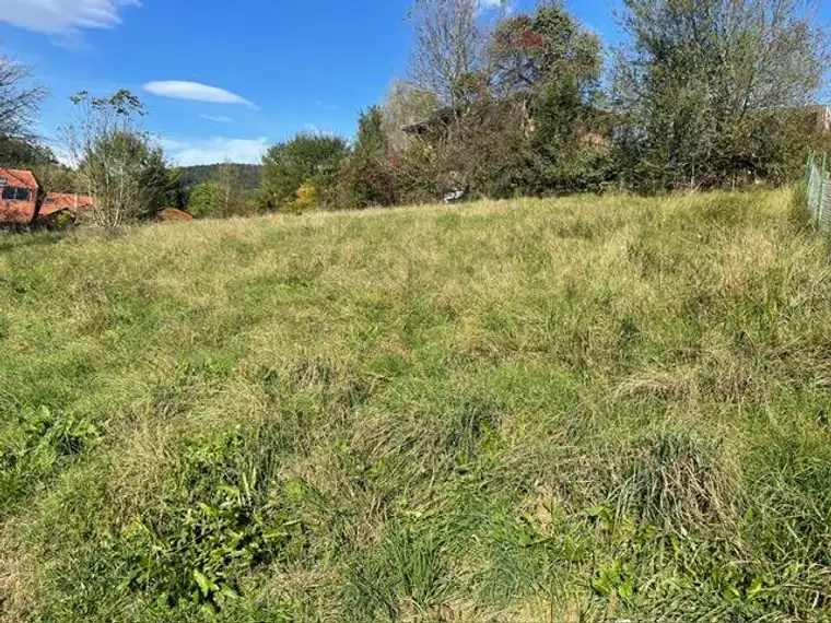 Thal Oberbichl Süd ruhiger sonniger Baugrund mit leichter Hanglage