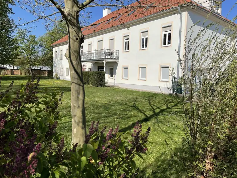 ERSTBEZUG nach RENOVIERUNG + BÜRO+ SCHÖNER BLICK in den GARTEN!