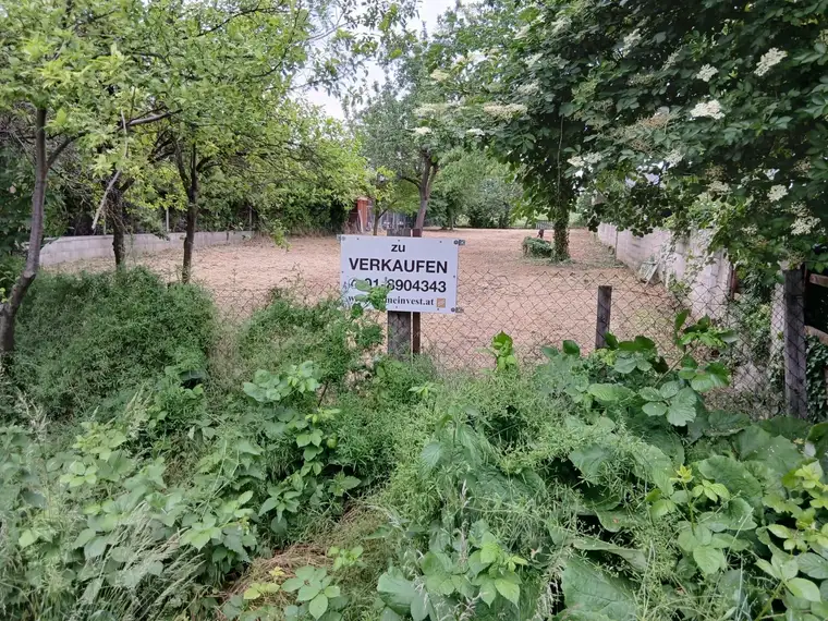 Herrliches ebenes Baugrundstück in ruhiger Siedlungslage, Nähe Neusiedler See