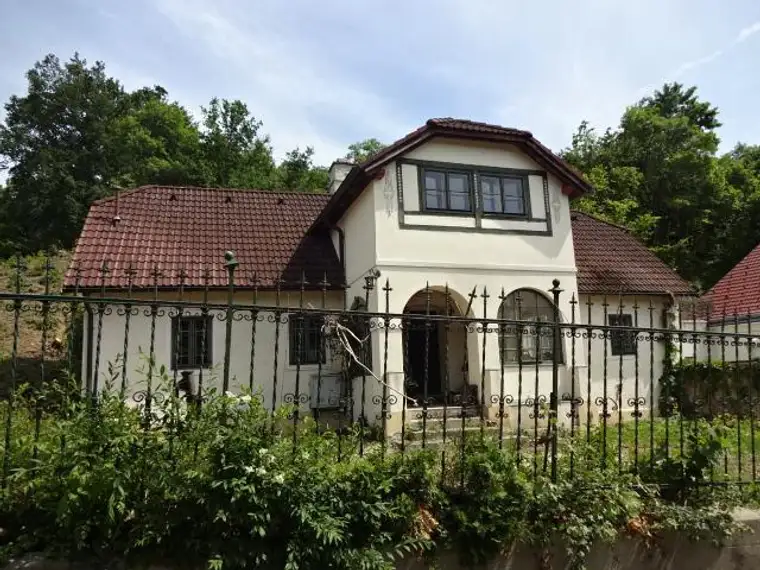 2 renovierungsbedürftige Wohngebäude (1 alte Villa und 1 Wochenendhaus) im Grünland, in Katzelsdorf, südlich von Wiener Neustadt