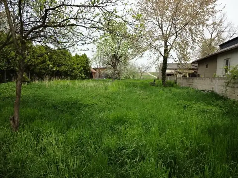 Herrliches ebenes Baugrundstück in ruhiger Siedlungslage, Nähe Neusiedler See