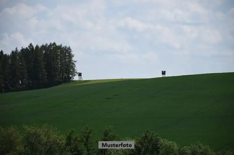 Land- und Forstwirtschaftsflächen + provisionsfrei +