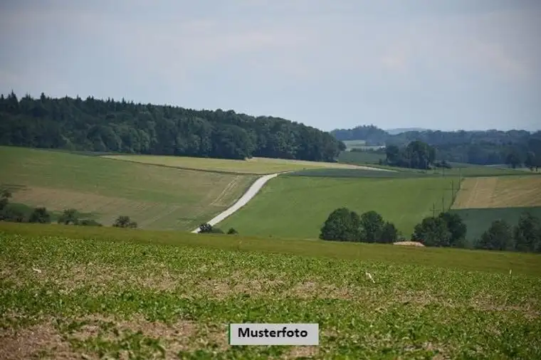 Grünland Land- und Forstwirtschaftsfläche