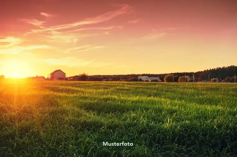 Land- und Forstwirtschaftsflächen + provisionsfrei +