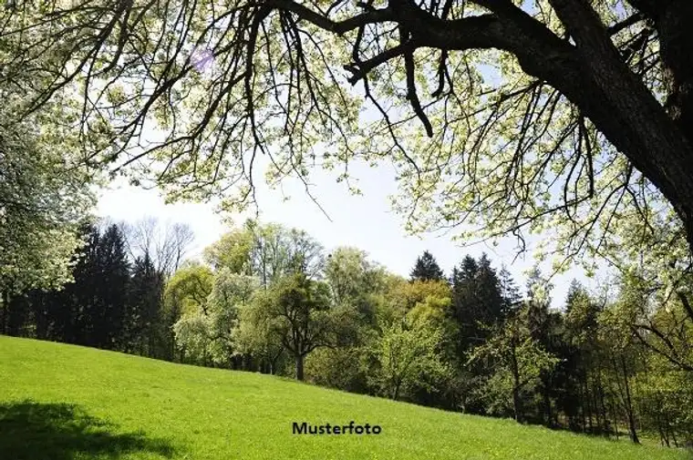 Land- und Forstwirtschaftsfläche