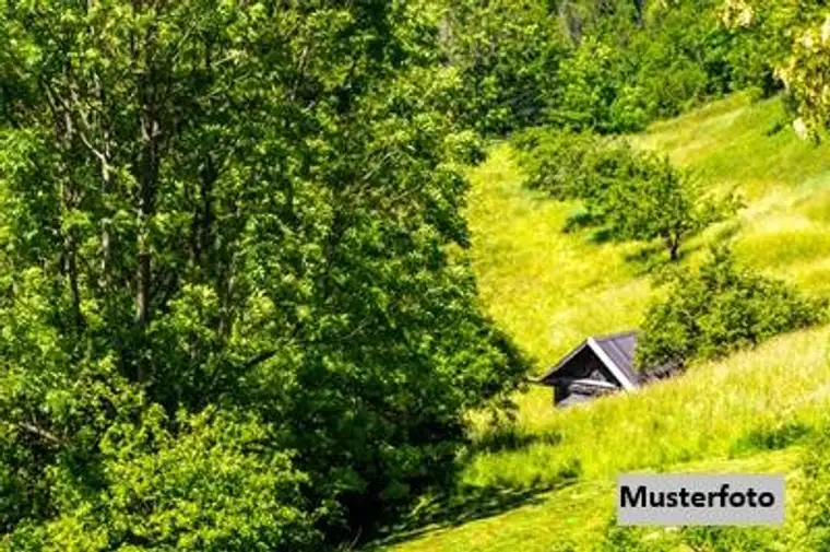 Land- und Forstwirtschaftl. Anwesen mit Hofstelle