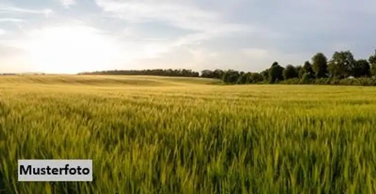 Landwirtschaftsfläche